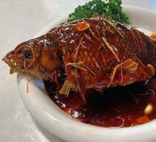 Carp Bouncing in Net