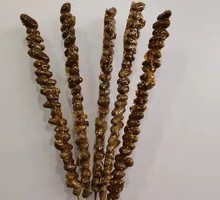 Bamboo Shoot and Lotus Root Candy Apples