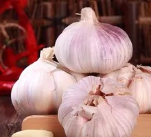 One Head of Garlic