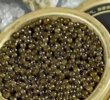Sturgeon Caviar