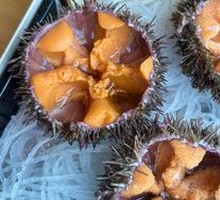 Sea Urchin