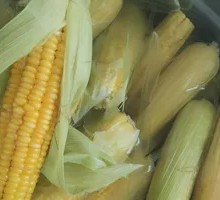 Fresh Boiled Corn