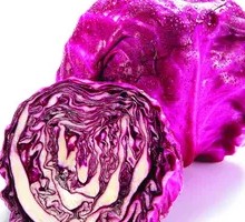 Purple Cabbage