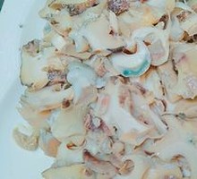Sliced Sea Snail
