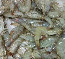 Frozen Shrimp
