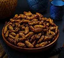Crispy Cicada Pupae