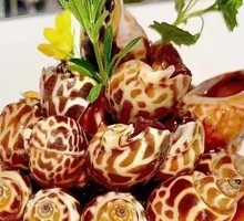 Spicy Garlic Squid in Sauce