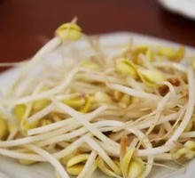 Mung Bean Sprouts