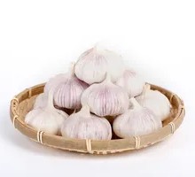 Whole Head of Garlic