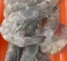 Sea Shrimp
