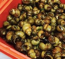 Fragrant Snail