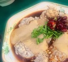 Sheep Brain