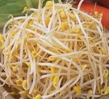 Bean sprouts