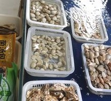 Rushan Small Oysters