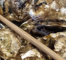 Oyster