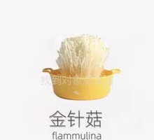 Enoki Mushroom