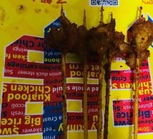 Signature Chicken Gizzard