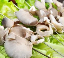 Mushroom