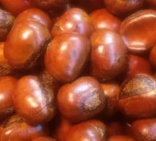 Sweet Chestnuts