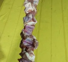 Lamb Ribs