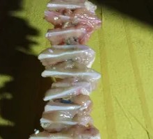 Chicken Cartilage