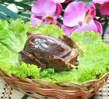 Charcoal-Grilled Pigeon