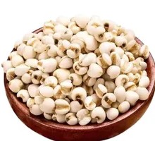 Coix Seed