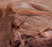 Donkey Meat with Skin