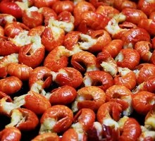 Lobster Tail