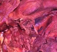 Premium Lamb Head Meat
