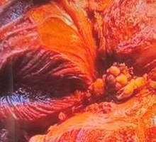 Premium Braised Beef Shank