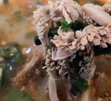 Goat Brain Slices