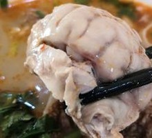 Sheep Brain