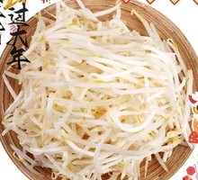 Mung Bean Sprouts