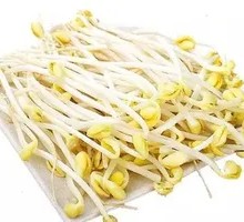 Mung Bean Sprouts