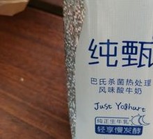 Pure Authentic Yogurt