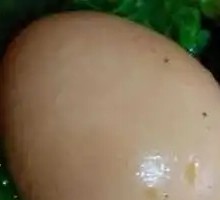 Egg