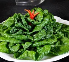 Yellow Heart Cabbage