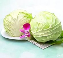 Cabbage