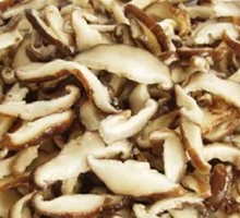 Shredded Mushroom