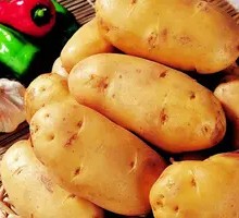 Potato