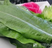 Oilseed lettuce