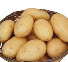 Potato