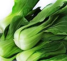 Oilseed lettuce