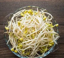 Mung Bean Sprouts