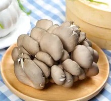 Enoki Mushroom