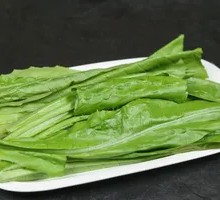 Oilseed lettuce