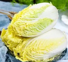 Napa cabbage