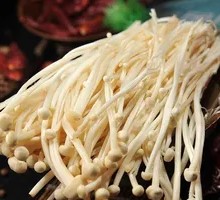 Enoki Mushroom