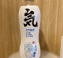Energy Forest Sparkling Water